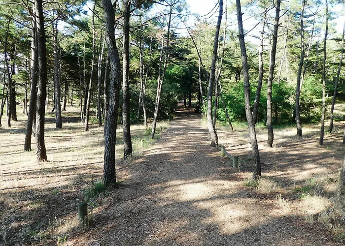 Superbe T3 Cadre Unique 7mn A Pied De La * Les Sables-dʼOlonne